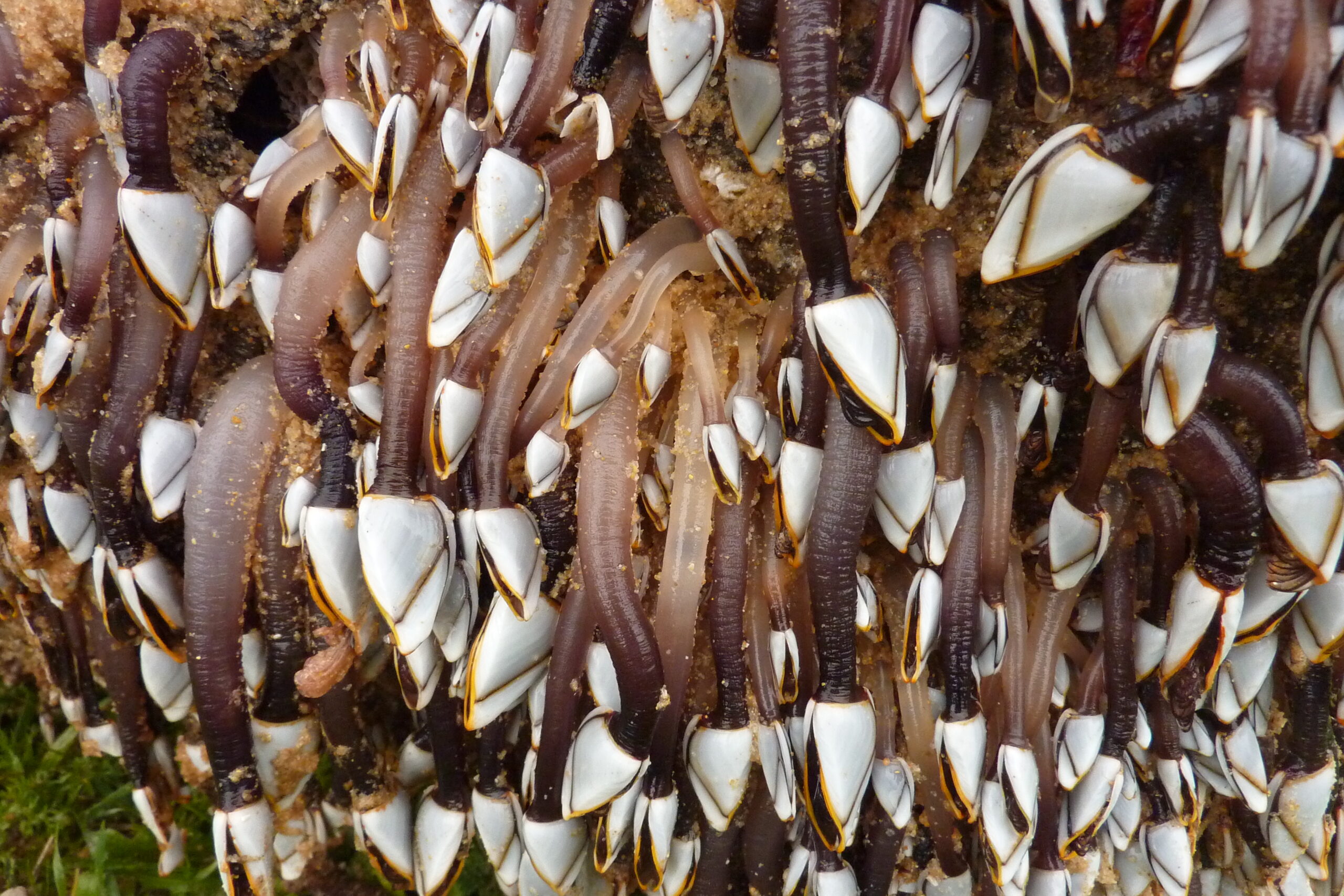 How To Set Sheet View In Excel